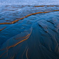 Nordseeküste 2021 Büsum Watt1B-1671