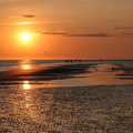 Nordseeküste 2021Büsum Watt18B1 1-1674-Bearbeitet