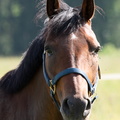  DSC4551
