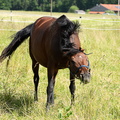  DSC4641