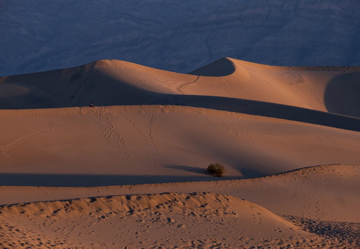Mesquite Flat Dunes1
