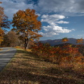 Foliage - Blue Ridge Mountains, Virginia
